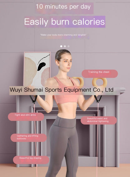 Smart Waist Twisting Fitness Exercise Disc for Home Use